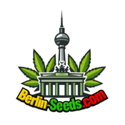 Premium Cannabis Seeds